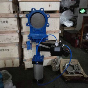 調(diào)節(jié)型梅花刀閘閥