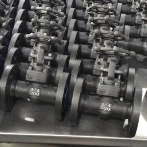 Z41Y美標(biāo)鍛鋼閘閥