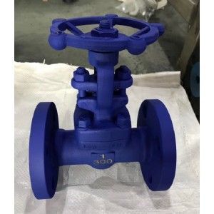 Z41Y珞鉬鋼鍛鋼閘閥