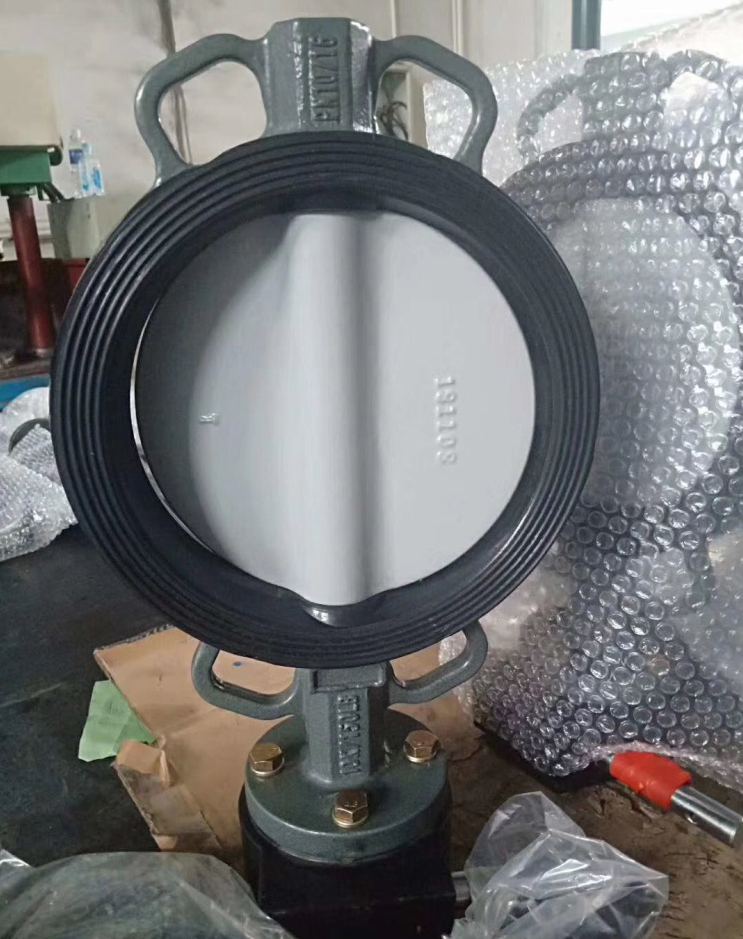 WD371J對夾式脫硫脫硝蝶閥